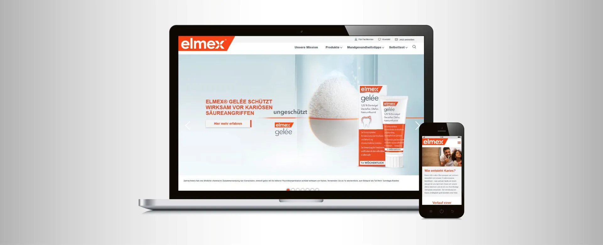 Zrzut ekranu projektu Elmex Accessibility