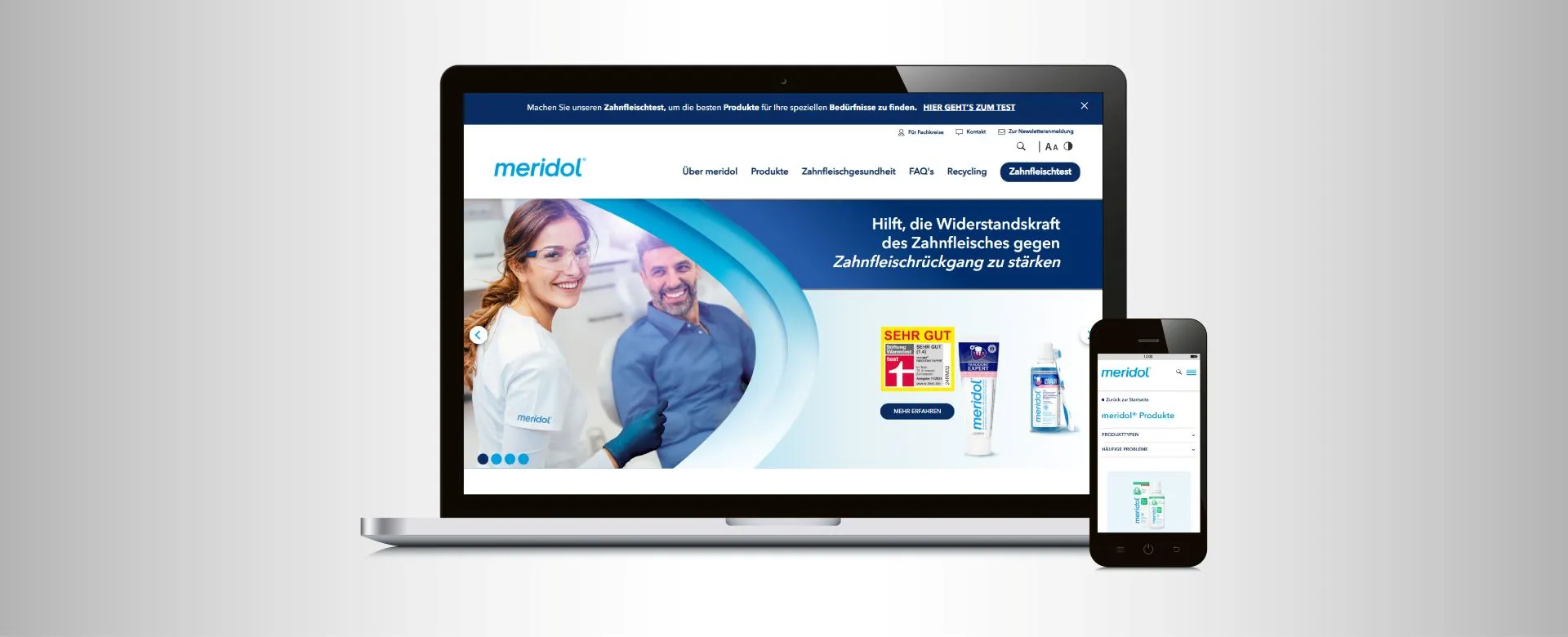 Zrzut ekranu projektu Meridol Accessibility