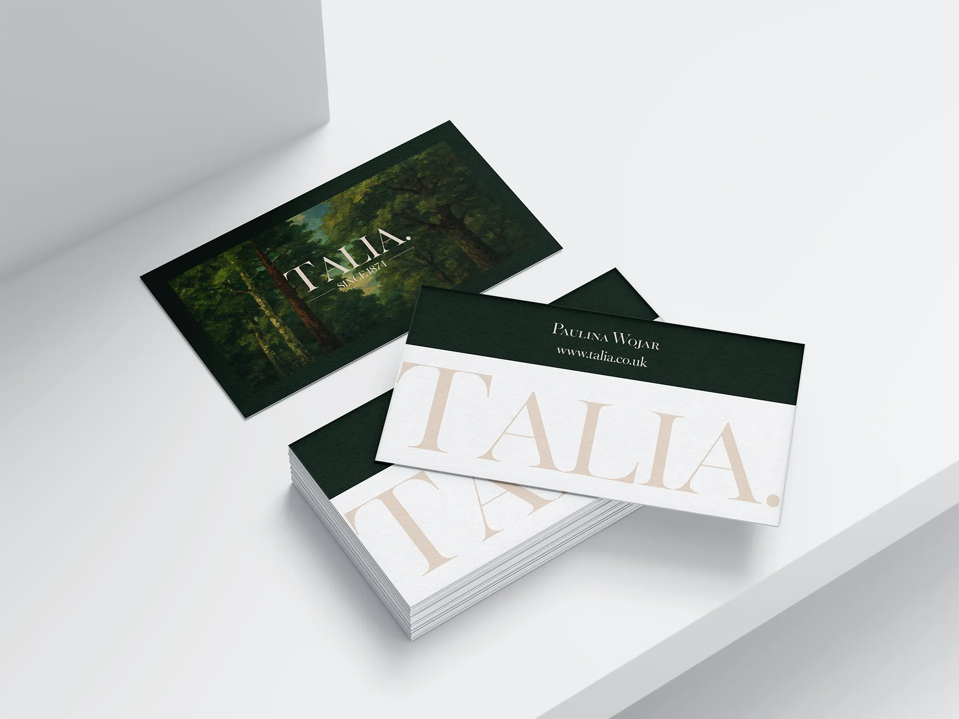 Zrzut ekranu projektu Wizytówka dla SPA - TALIA